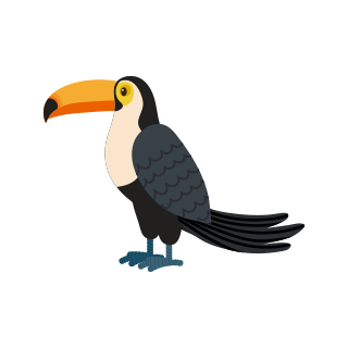 th toucan
